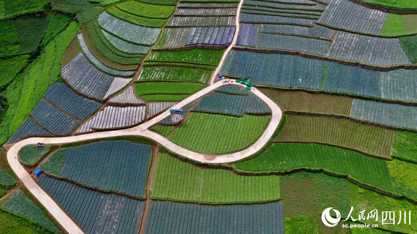 金陽縣南瓦鎮(zhèn)絲窩中心村高山蔬菜基地的水泥路。鄒寧攝