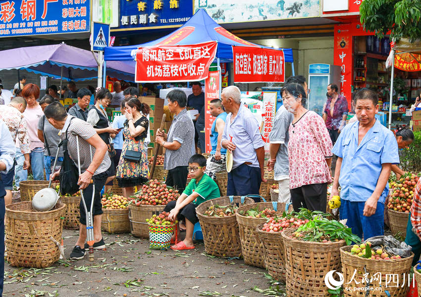 合江縣多家物流企業(yè)積極為消費者提供貼心服務，直接在各荔枝交易市場上設置服務網點，讓消費者享受到便捷高效的服務，較好地拓展了荔枝銷售途徑渠道。李貴平攝