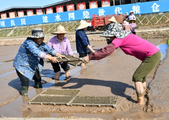 四川省舉行2022年春灌放水啟動活動4月25日，2022年四川省春灌放水啟動活動在德陽舉行。