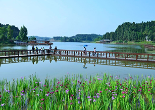 南部縣純陽山村：依托八爾湖秀美風(fēng)光，農(nóng)耕文化及濕地生態(tài)資源，實(shí)施旅游扶貧開發(fā)，建成濕地花海、荷塘月色、農(nóng)耕博物館等多處鄉(xiāng)村旅游特色景點(diǎn)。