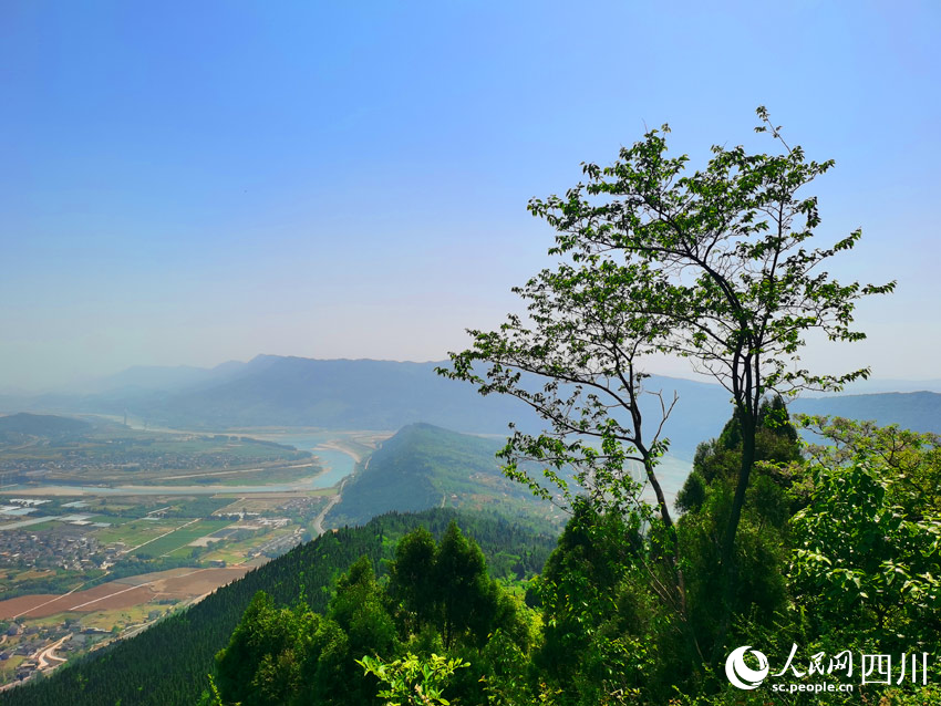 從古蜀道俯瞰山川風(fēng)景。人民網(wǎng)記者 劉海天攝