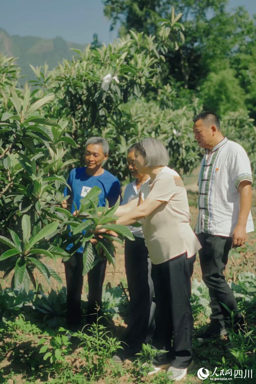 綿陽市農(nóng)科院研究員任茂瓊（前排左一）在果園里，手把手給農(nóng)戶演示如何修枝。人民網(wǎng)記者 張若涵攝