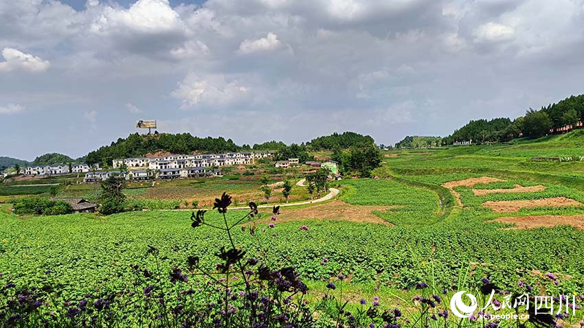 站在遠處眺望海龍村，村美景美。實習生 吳舒婷攝