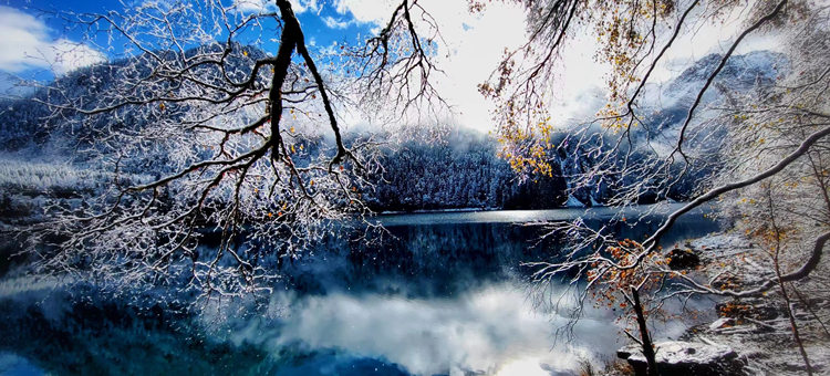 雪景中的彩林、海子。九管局供圖