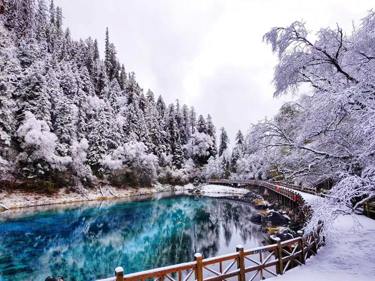 雪景中的五彩池。九管局供圖