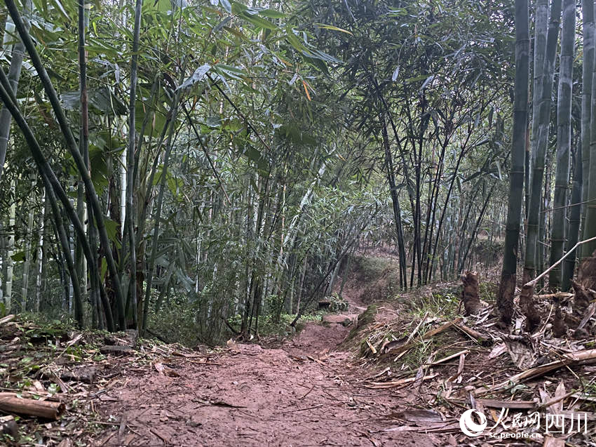 當(dāng)?shù)爻掷m(xù)降雨，山村道路濕滑。人民網(wǎng) 王凡攝