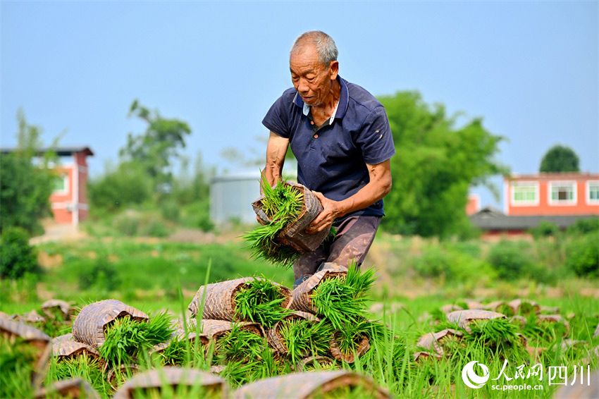 技藝傳承久，美食憶先賢。人民網(wǎng)記者 劉海天攝