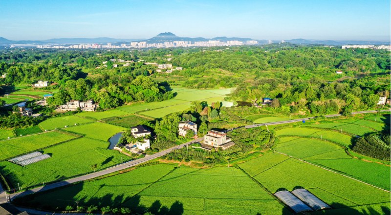 川渝共建巴蜀魚米之鄉(xiāng)。合江縣委宣傳部供圖