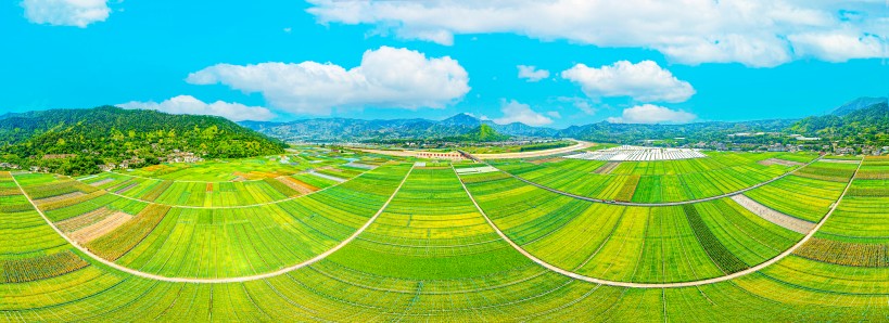 米易稻菜輪作產(chǎn)業(yè)園（四川省五星級(jí)現(xiàn)代化農(nóng)業(yè)園區(qū)）。米易縣融媒體中心供圖