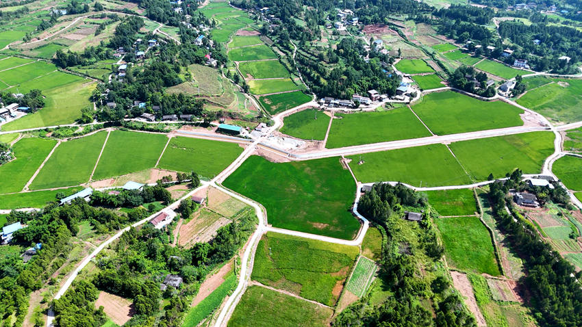 蓬安高標(biāo)準(zhǔn)農(nóng)田徐家基地。蓬安融媒體中心供圖