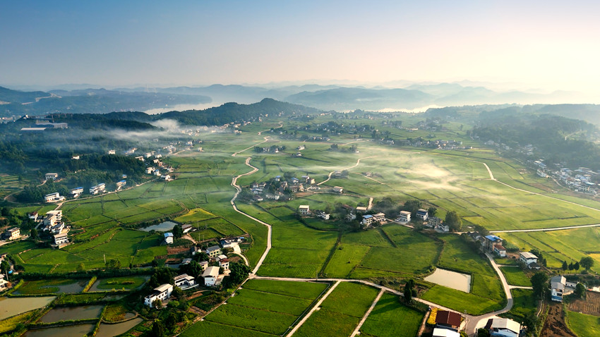 蓬安高標(biāo)準(zhǔn)農(nóng)田睦壩基地。蓬安融媒體中心供圖