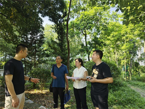 巡查自流井區(qū)蜀光中學烈士紀念碑。自貢市退役軍人事務(wù)局供圖