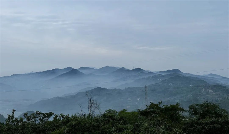 歸院·歸與隱的景色。天府新區(qū)融媒體中心供圖