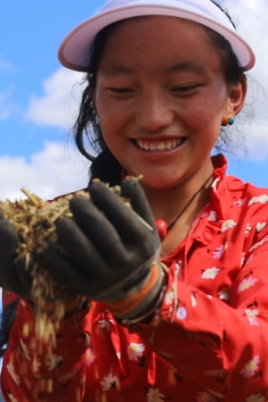 白玉縣贈科鄉(xiāng)下比沙村千畝青稞共富田園種植基地，村民手捧青稞滿臉笑容。