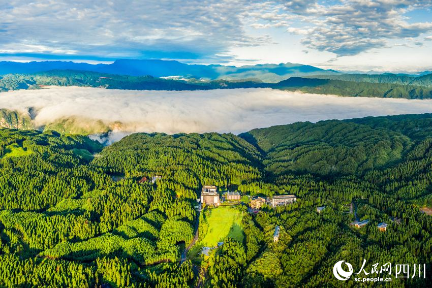 全國首批森林康養(yǎng)體驗基地——洪雅玉屏山。張佳豪攝