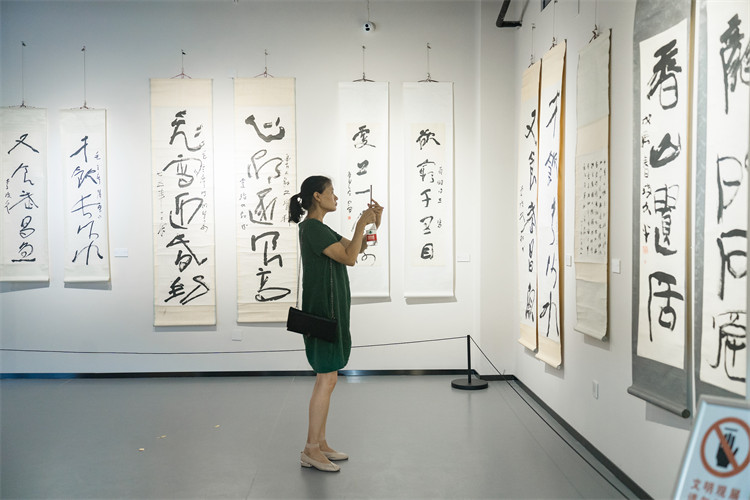 市民在李瓊久藝術(shù)館拍下好的參展作品。楊丹供圖