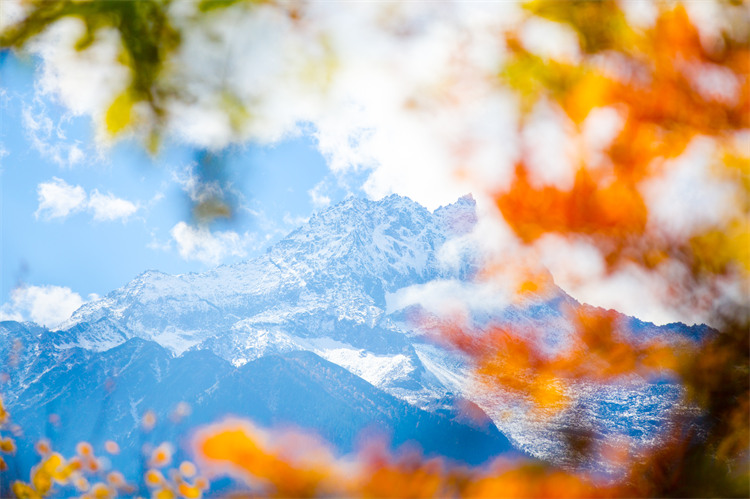 彩林遠處的冰山。黑水縣文廣旅局供圖